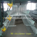 Chine design couche oeuf cage de poulet / volaille ferme maison design